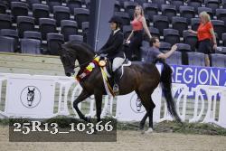 25R13_10366 thumbnail