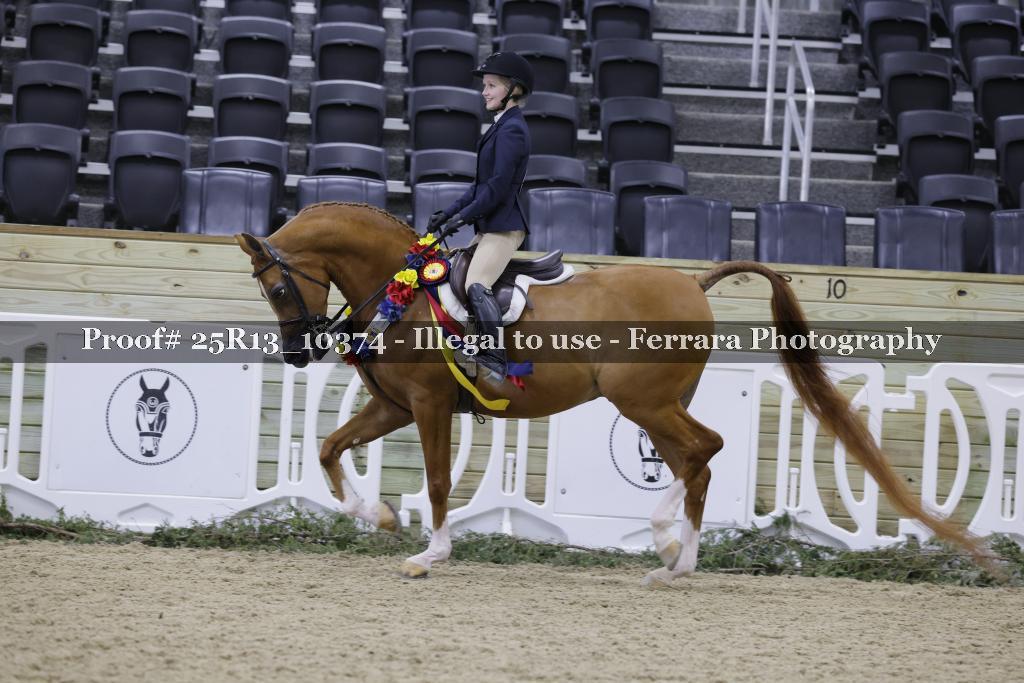 Proof Number 25R13_10374