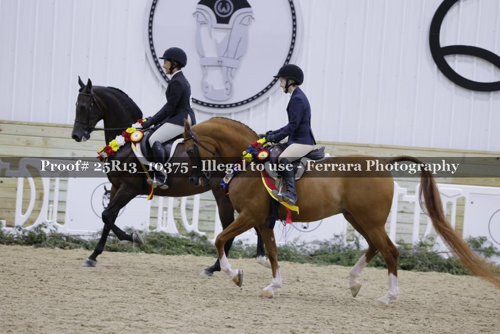 Proof Number 25R13_10375