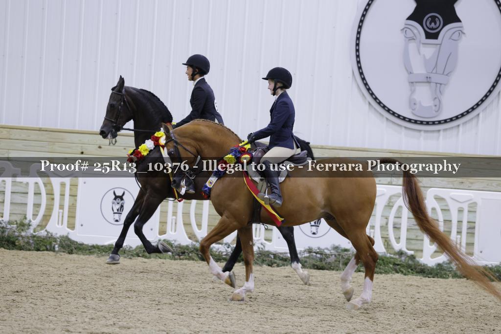 Proof Number 25R13_10376