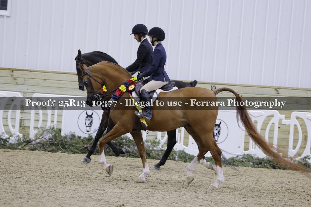 Proof Number 25R13_10377