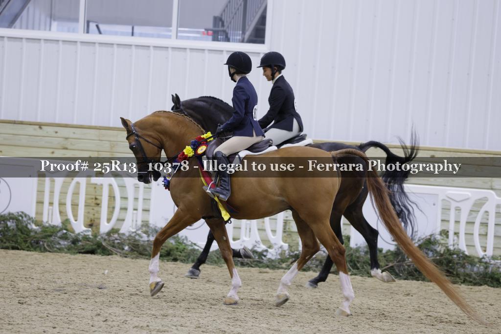 Proof Number 25R13_10378