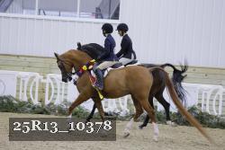 25R13_10378 thumbnail