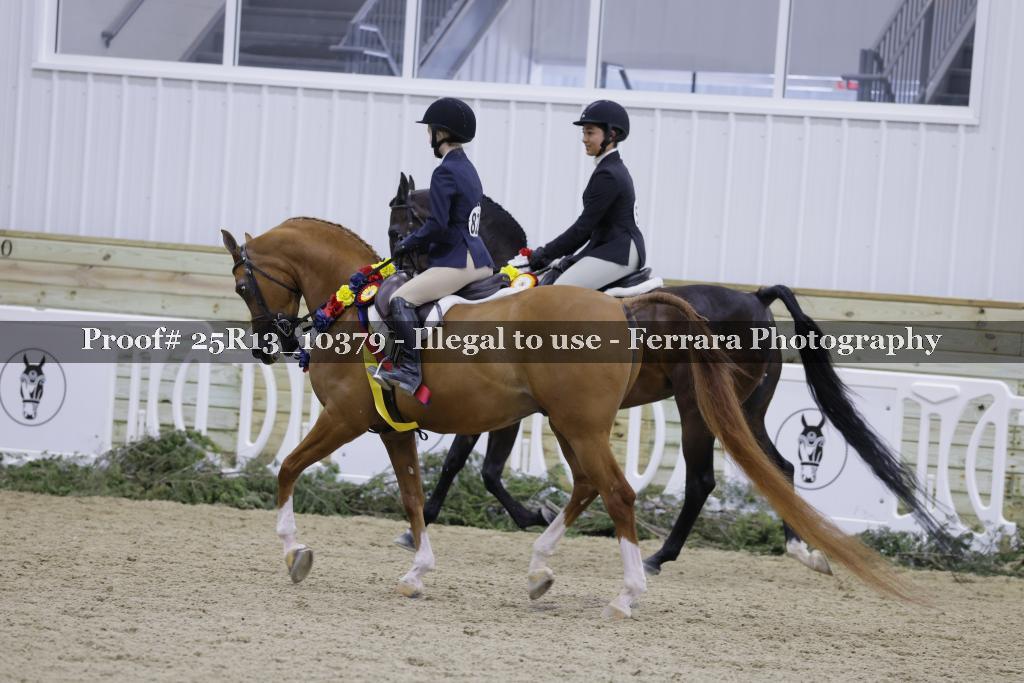 Proof Number 25R13_10379