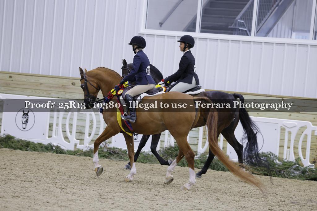 Proof Number 25R13_10380