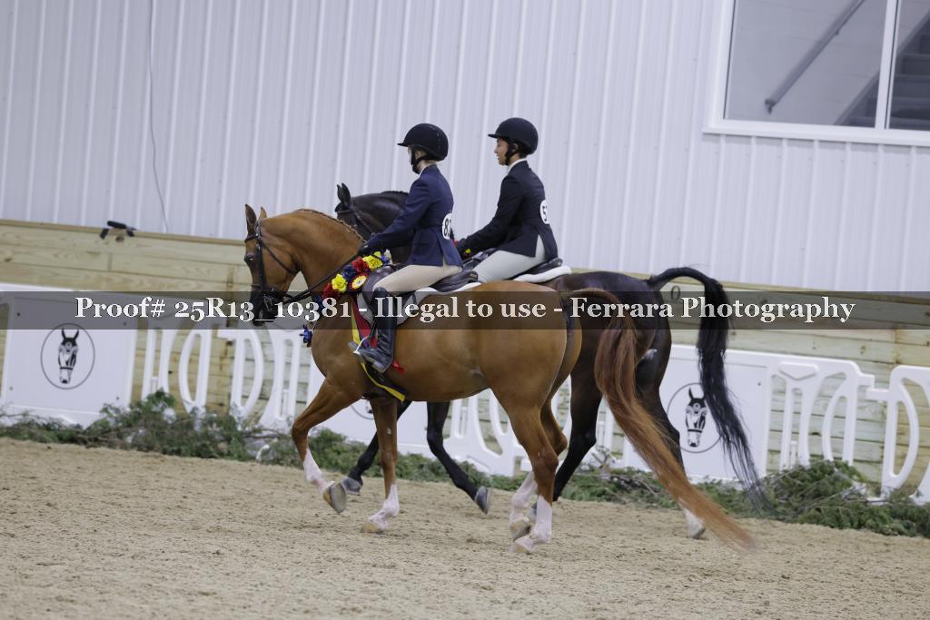 Proof Number 25R13_10381