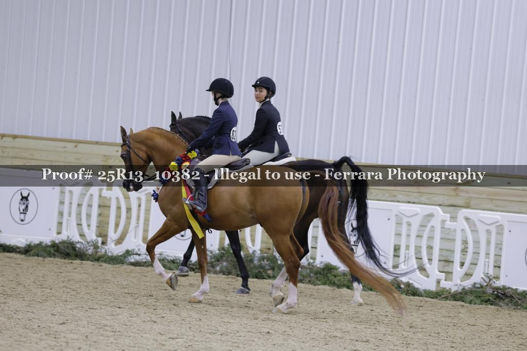 Proof Number 25R13_10382