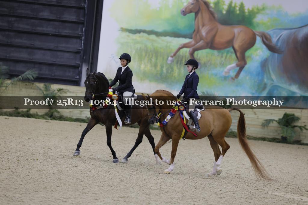 Proof Number 25R13_10384