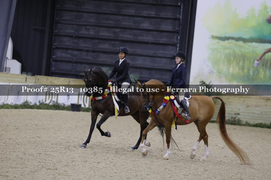 Proof Number 25R13_10385
