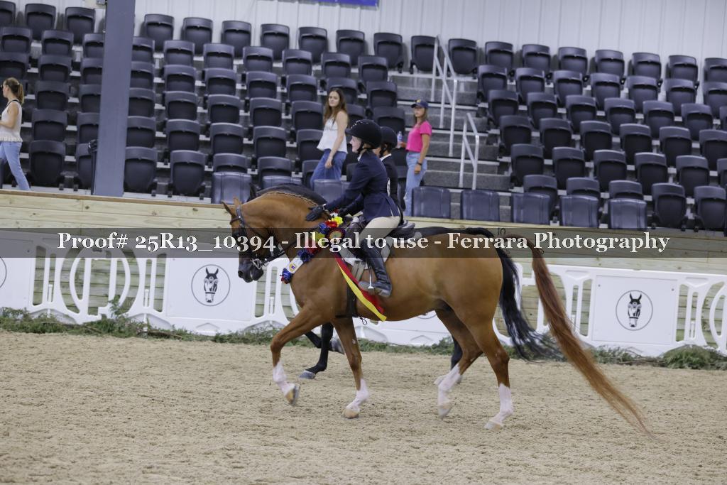 Proof Number 25R13_10394
