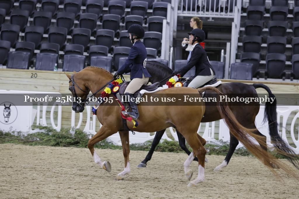 Proof Number 25R13_10395