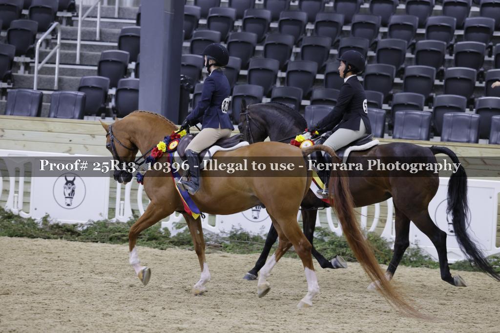 Proof Number 25R13_10396