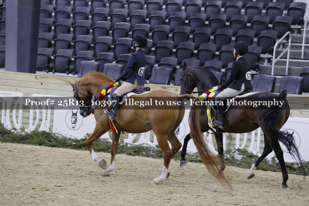 Proof Number 25R13_10397