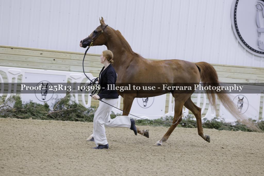 Proof Number 25R13_10398