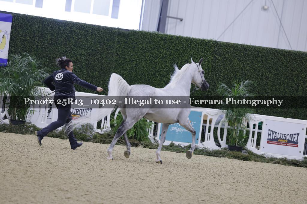 Proof Number 25R13_10402