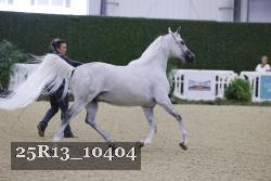 25R13_10404 thumbnail