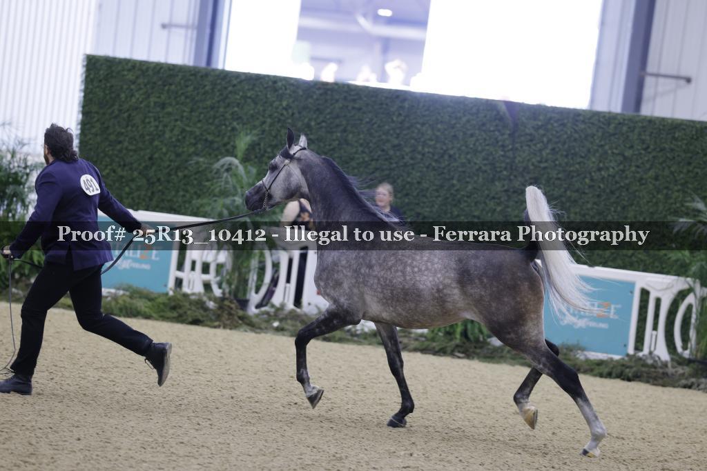 Proof Number 25R13_10412
