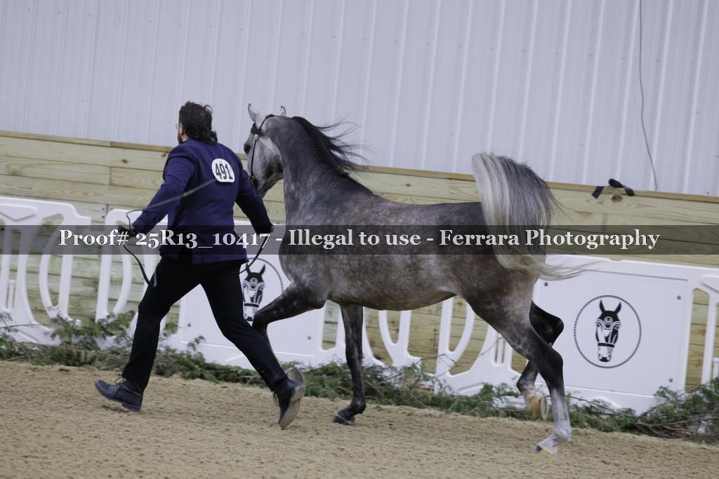 Proof Number 25R13_10417
