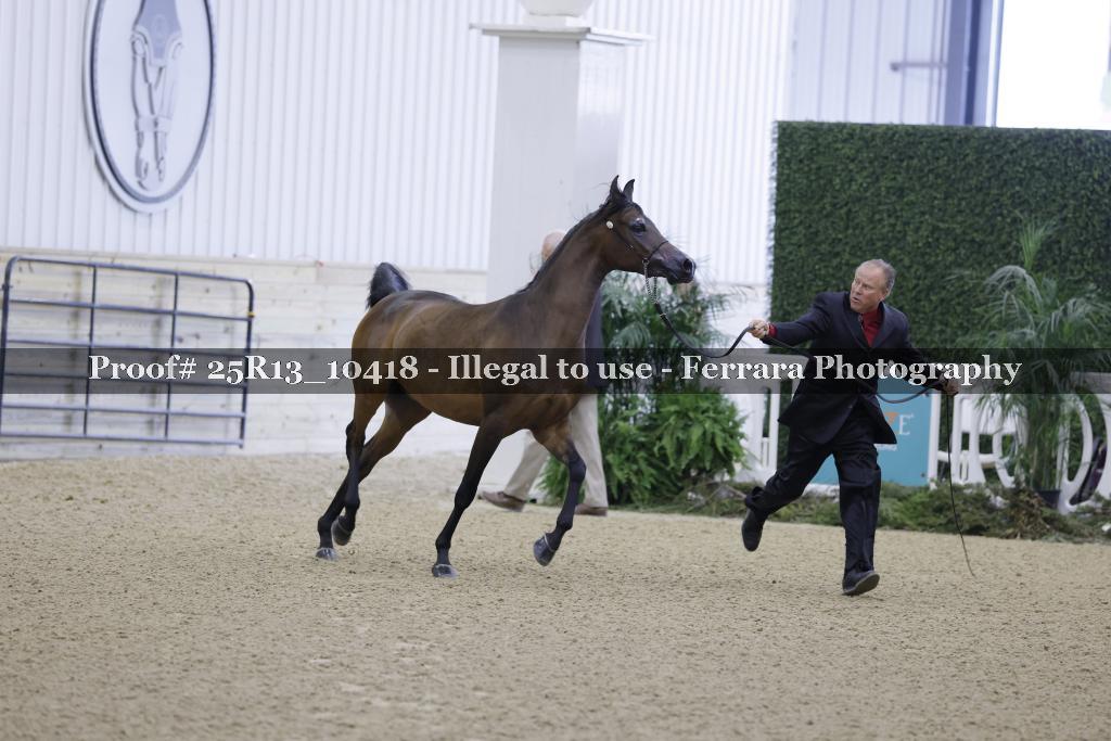 Proof Number 25R13_10418