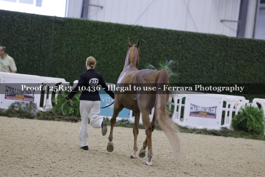 Proof Number 25R13_10436