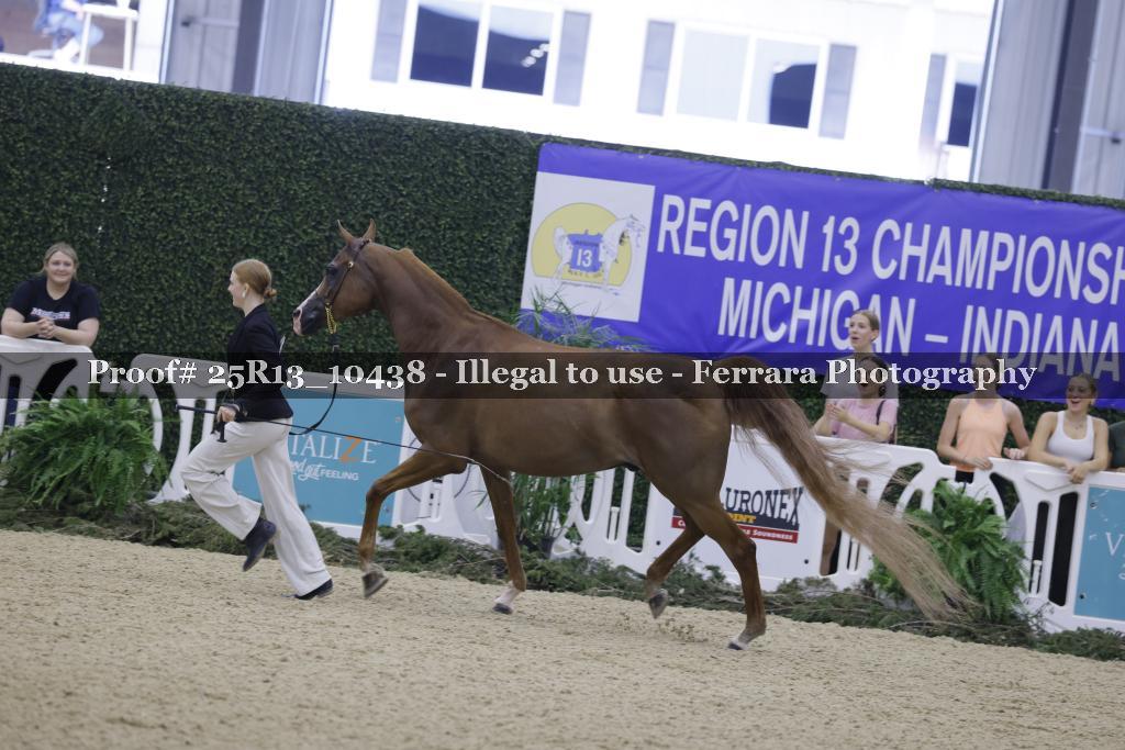 Proof Number 25R13_10438