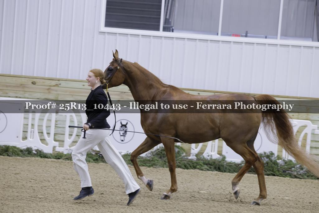 Proof Number 25R13_10443