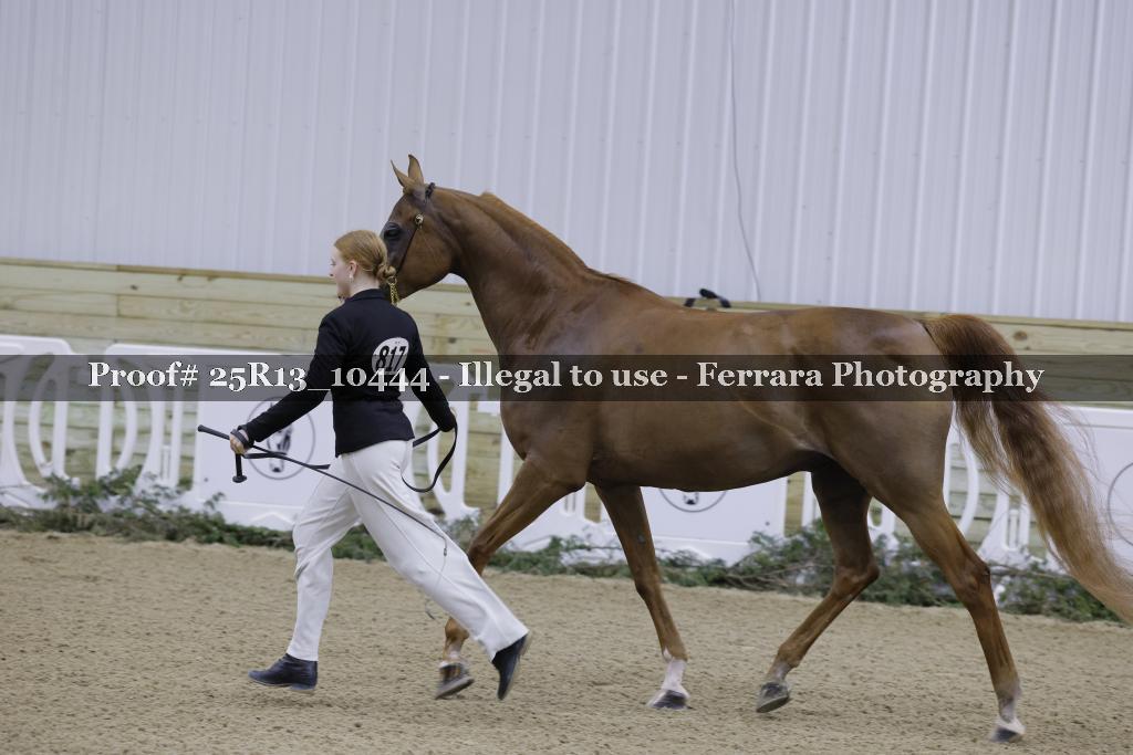 Proof Number 25R13_10444