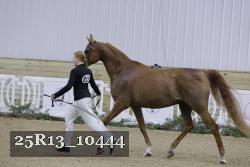 25R13_10444 thumbnail
