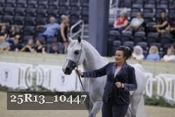 25R13_10447 thumbnail