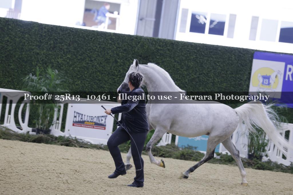 Proof Number 25R13_10461