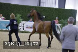 25R13_10472 thumbnail