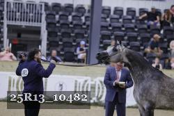 25R13_10482 thumbnail