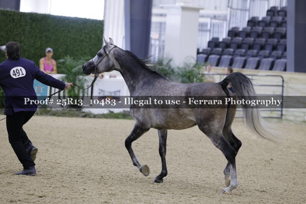 Proof Number 25R13_10483