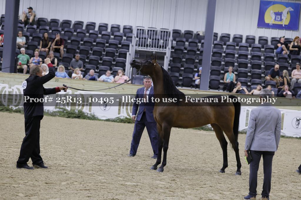 Proof Number 25R13_10495