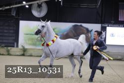25R13_10531 thumbnail