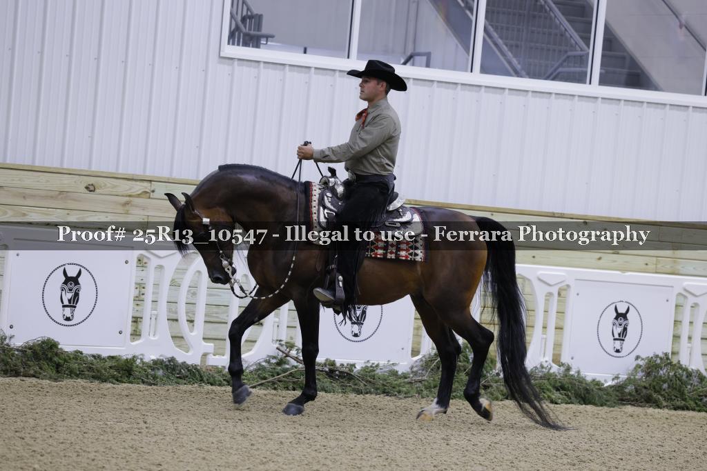 Proof Number 25R13_10547