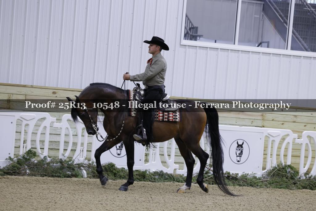 Proof Number 25R13_10548