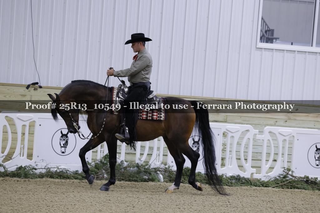 Proof Number 25R13_10549