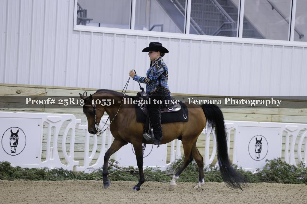 Proof Number 25R13_10551