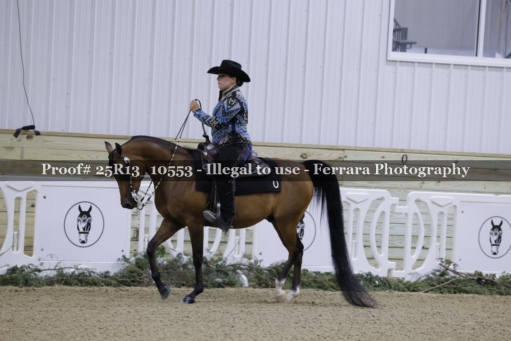 Proof Number 25R13_10553