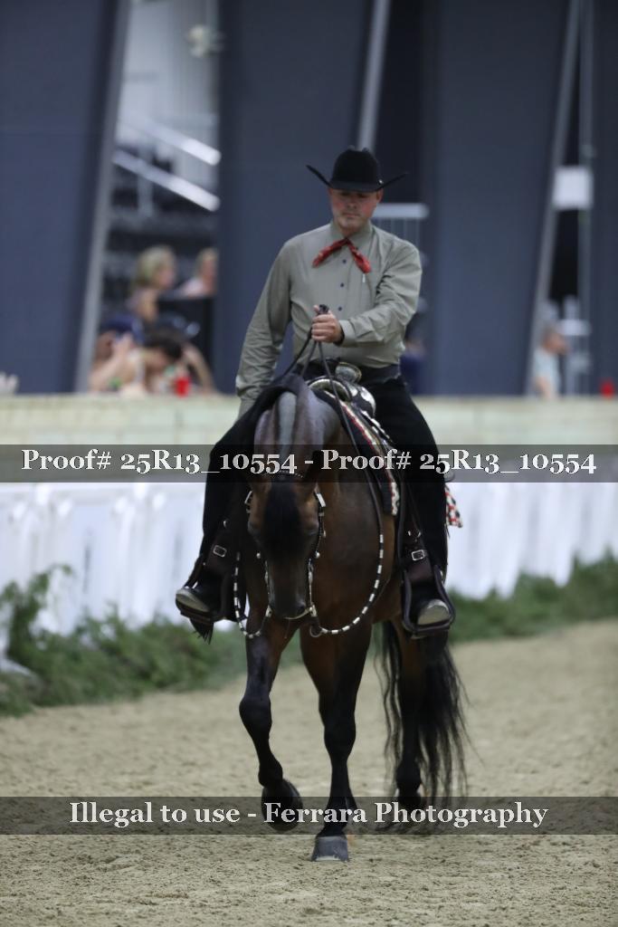 Proof Number 25R13_10554
