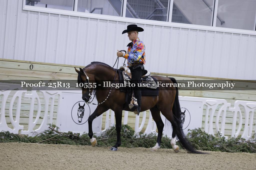 Proof Number 25R13_10555