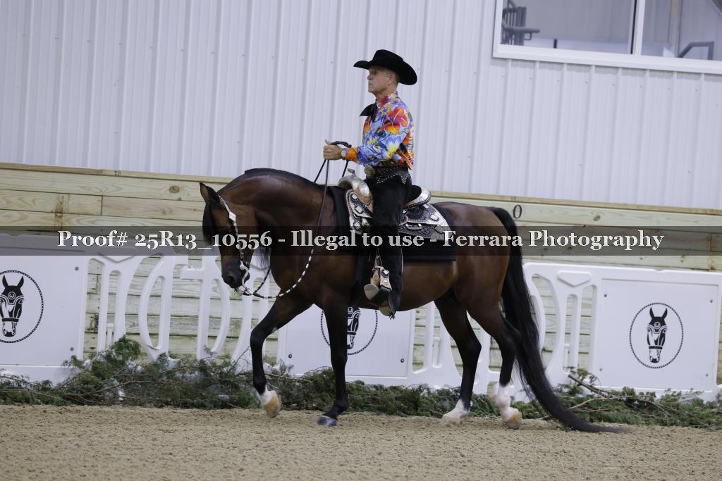 Proof Number 25R13_10556