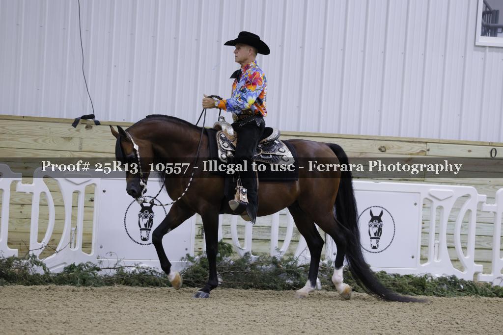 Proof Number 25R13_10557