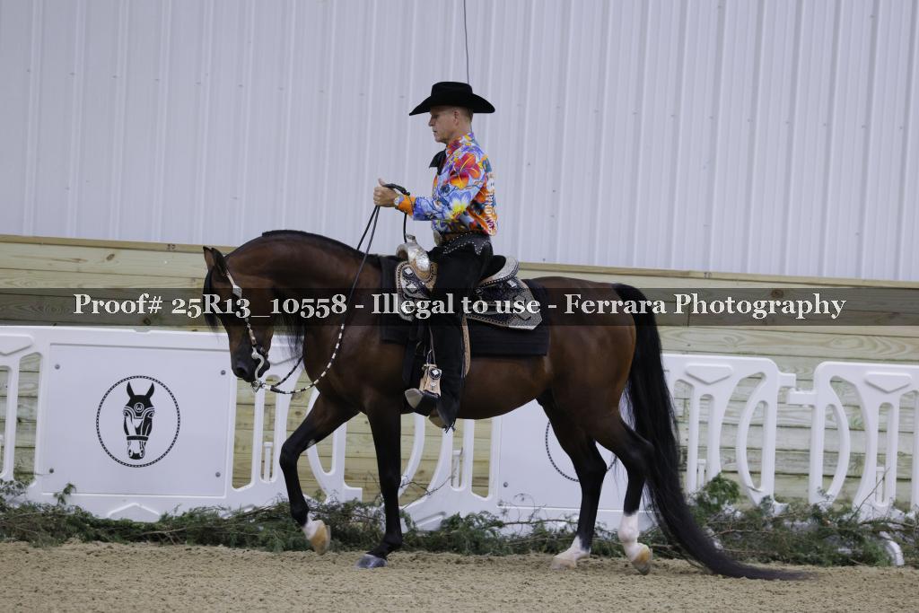 Proof Number 25R13_10558