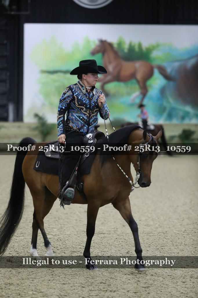 Proof Number 25R13_10559