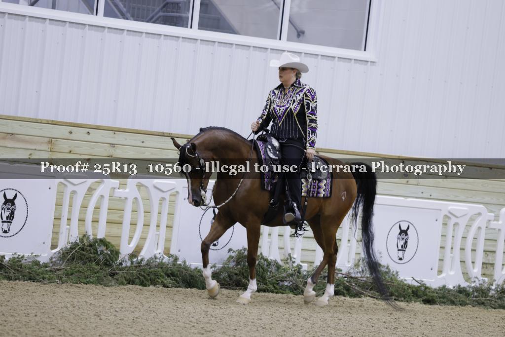 Proof Number 25R13_10560