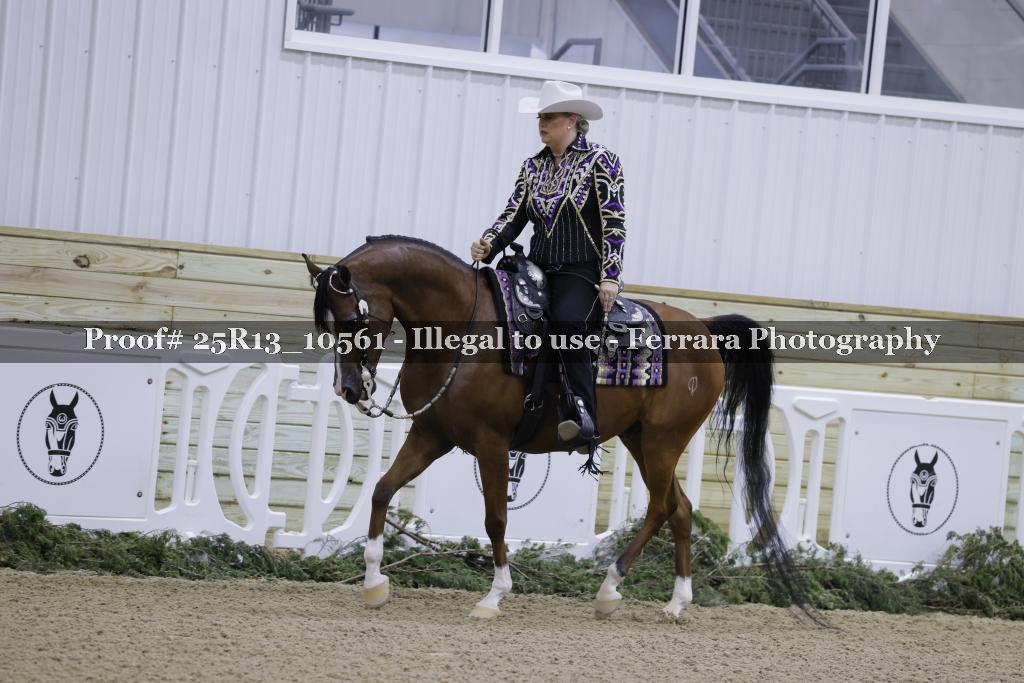 Proof Number 25R13_10561