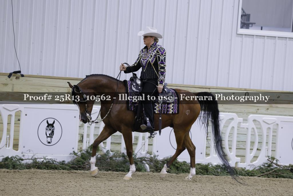 Proof Number 25R13_10562