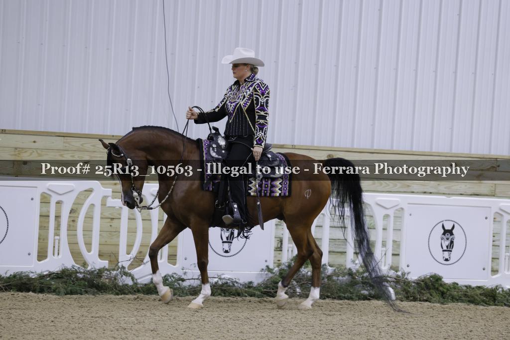 Proof Number 25R13_10563